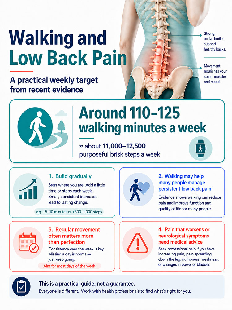 Walking and low back pain infographic showing a practical target of about 110-125 walking minutes a week, equivalent to roughly 11,000-12,500 purposeful brisk steps.