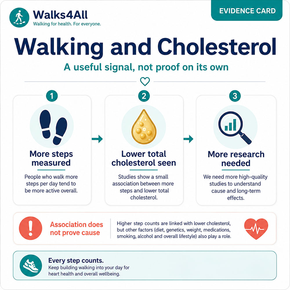Evidence-card infographic explaining that more measured steps were associated with lower total cholesterol, while noting that association does not prove cause and more research is needed.